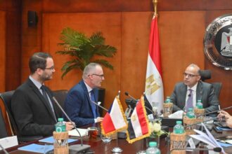Egypt works to open investment avenues for Czech pension funds: Minister