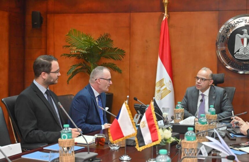 Egypt works to open investment avenues for Czech pension funds: Minister