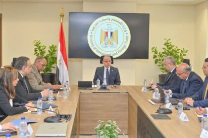 Egypt creates executive committee to accelerate digital transformation for investors