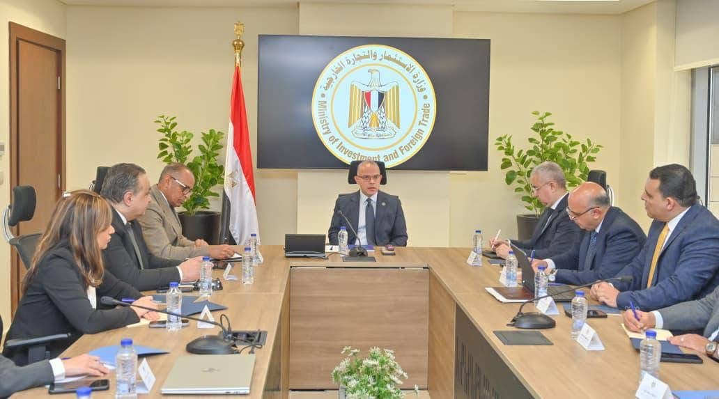 Egypt creates executive committee to accelerate digital transformation for investors