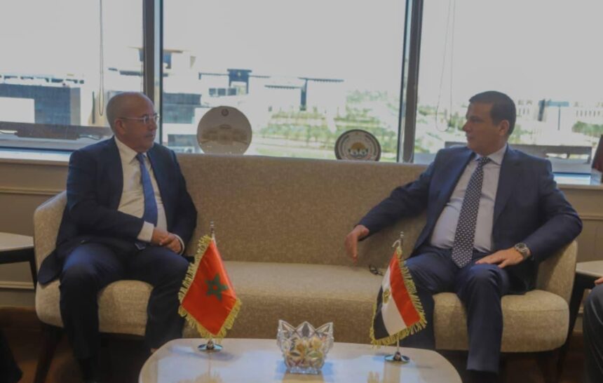 Egypt, Morocco explore deeper agricultural cooperation, trade and investment