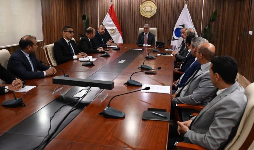 Egypt's Consumer Protection Agency seizes over 290 tonnes of illicit goods in two-month nationwide crackdown