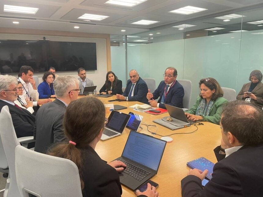 Egypt's economy grows 5.3% in first half, finance minister tells investors in Washington