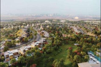 SODIC posts record 118% revenue growth in 2025 results