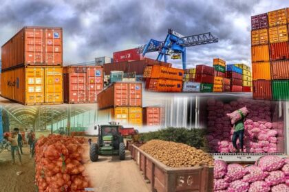 Egypt receives 510,000 tonnes of food imports in one week, Russia leads suppliers