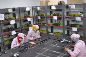 Egyptian unemployment rate drops to 6.3% in 2025 amidst economic reforms