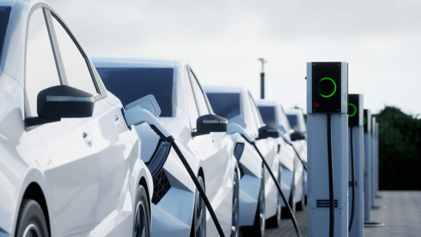 Egyptian prime minister orders transition to electric vehicle fleet for state administration