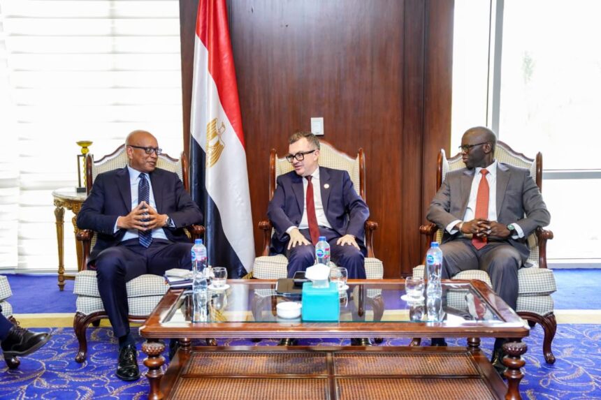 Planning minister discusses activating infrastructure financing guarantee mechanism with IFC