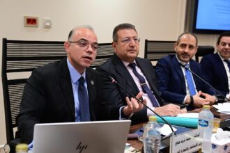 Monetary policy now key competitive edge for Egypt after recent economic reforms: Investment minister