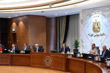 Egypt cabinet formalises deputy minister portfolios for foreign affairs, international cooperation and housing