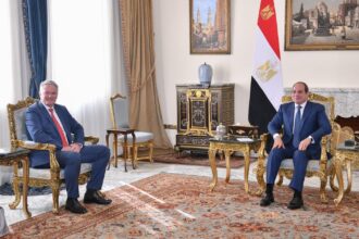Al-Sisi, OECD chief discuss reforms, expanding private sector role