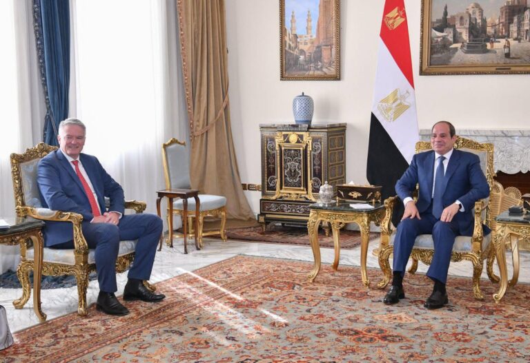 Al-Sisi, OECD chief discuss reforms, expanding private sector role