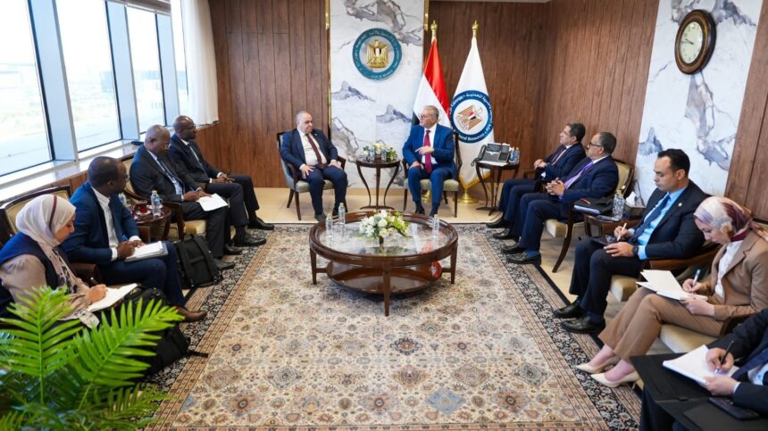 APPO to launch African training platform by year-end as Egypt proposes June ministerial summit