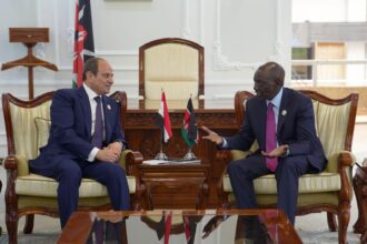 Egypt, Kenya stress Nile water security and push to activate strategic partnership at Nairobi summit