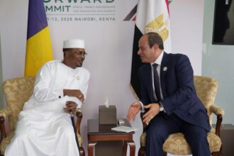 Egypt, Chad leaders pledge deeper trade ties, stress regional stability at Africa-France summit