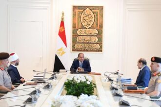 Egypt's Al- Sisi directs mapping, development of state endowments to attract new investments
