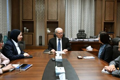 State asset reforms and 200-megawatt solar project top Egypt-UNDP economic agenda