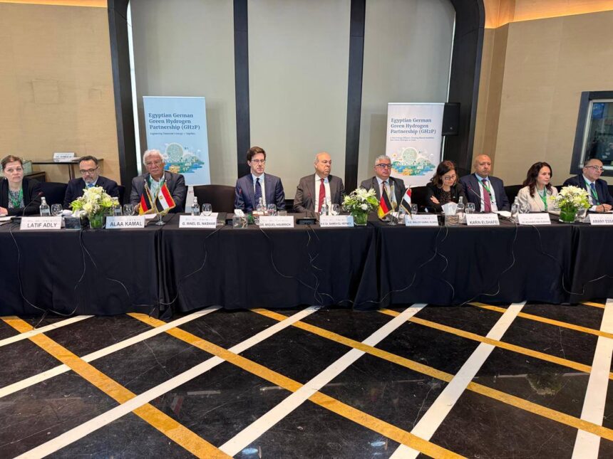 Egypt eyes sustainable aviation growth through green hydrogen, SAF initiatives: Civil aviation minister