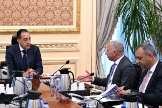 Madbouly, Elsewedy Electric discuss expansion plans, new investments