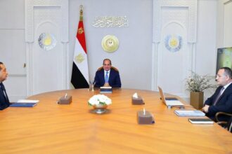 Al-Sisi calls for enhancing global competitiveness of Egyptian universities