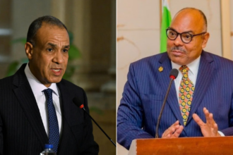Egypt's Minister of Foreign Affairs, Emigration and Egyptian Expatriates, Badr Abdelatty (L) and Tanzanian Foreign Minister Mahmoud Thabit Kombo (R)