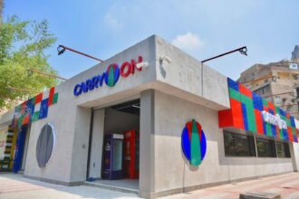 Egypt to rebrand supply outlets into 'CARRY ON' franchise chain, offering youth financing