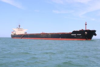 Egypt's Damietta Port receives its largest bulk cargo of 144,780 tonnes on YANG FAN vessel