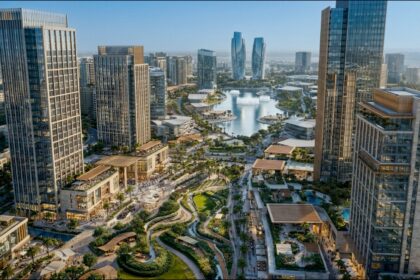 The Spine: A practical application of special investment zones in Egypt