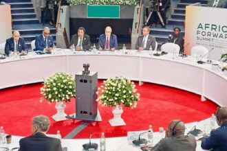 Egypt stresses water-food security link at Africa Forward Summit