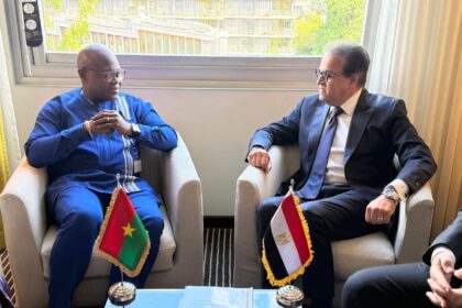 Egypt explores healthcare cooperation with Burkina Faso, Lebanon at World Health Assembly