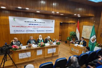 Cairo University thesis highlights leadership impact in Mandela and Mugabe comparative study