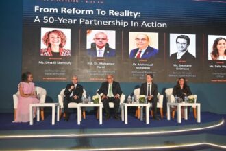 Egypt to overhaul business licensing and capital rules to equalise investor playing field