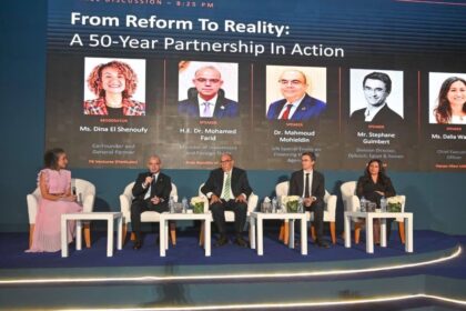 Egypt to overhaul business licensing and capital rules to equalise investor playing field