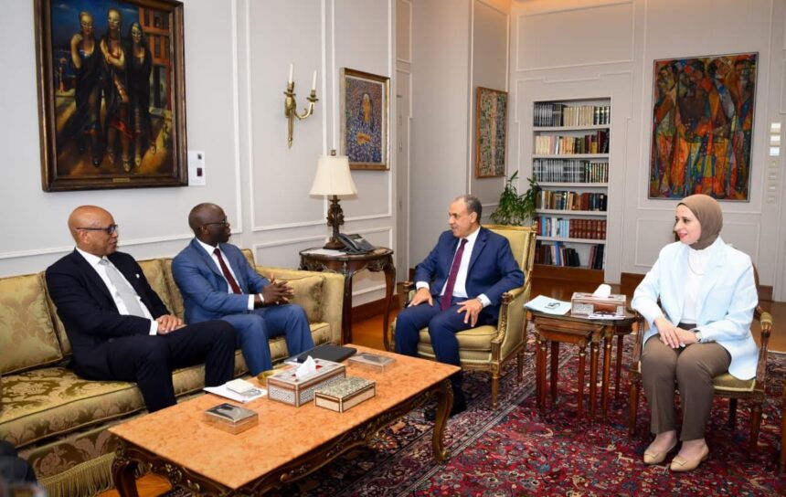 Egypt's Abdelatty discusses $1bn World Bank development financing, IPO programme expansion