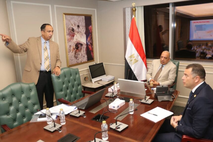 Electricity minister reviews progress on Dabaa nuclear power plant