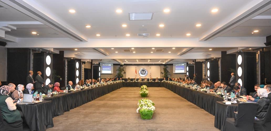 Egyptian government discusses executive framework for FDI strategy with World Bank