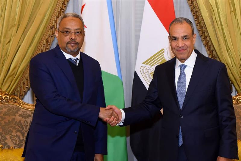 Egypt, Djibouti foreign ministers reject unilateral actions in Horn of Africa during talks