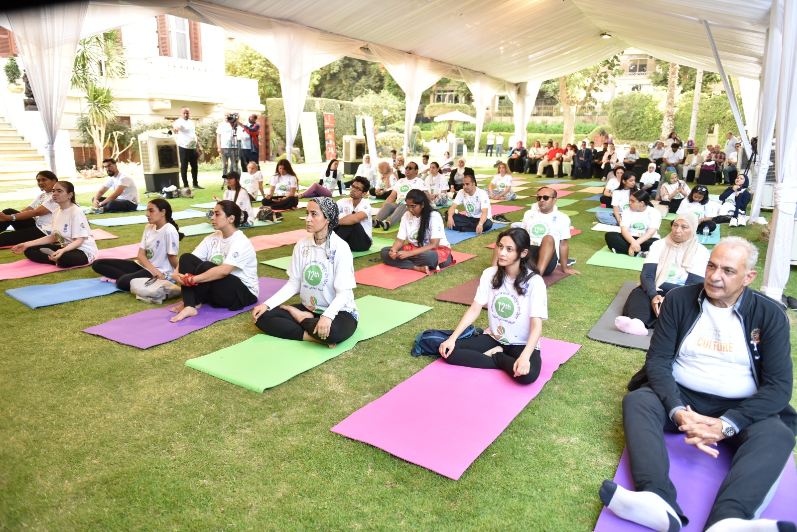 India marks International Day of Yoga 2026 with nationwide events across Egypt