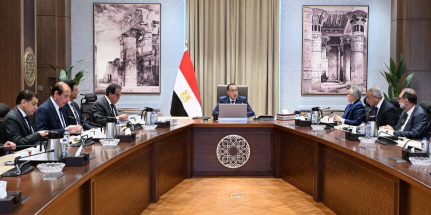 Egypt moves to tighten oversight of food production factories