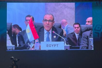 Egypt advocates deeper Africa-Korea partnerships to drive sustainable development