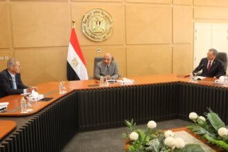 Egypt explores expanded renewable energy cooperation with China Energy, EPPEI