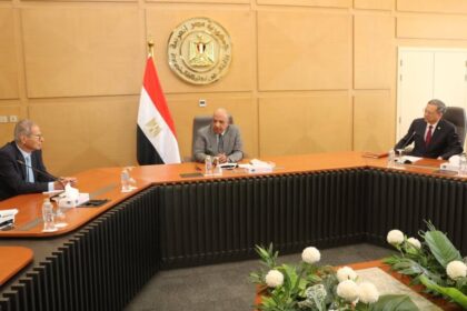 Egypt explores expanded renewable energy cooperation with China Energy, EPPEI