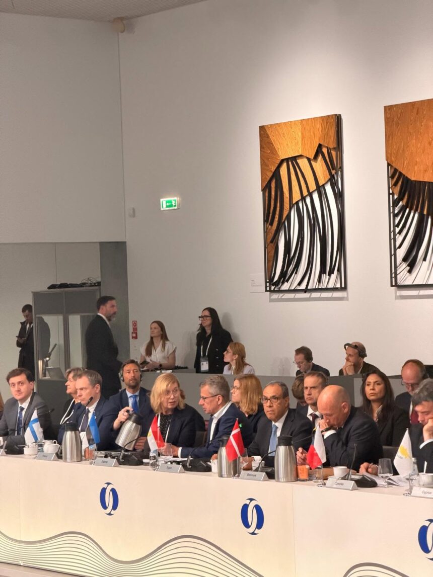 Egypt’s FM urges rapid multilateral crisis response to Middle East conflicts, confirms EU financial support rollout