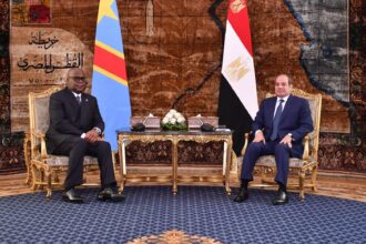 Al-Sisi, Tshisekedi discuss water cooperation, Nile Basin coordination and eastern DRC crisis