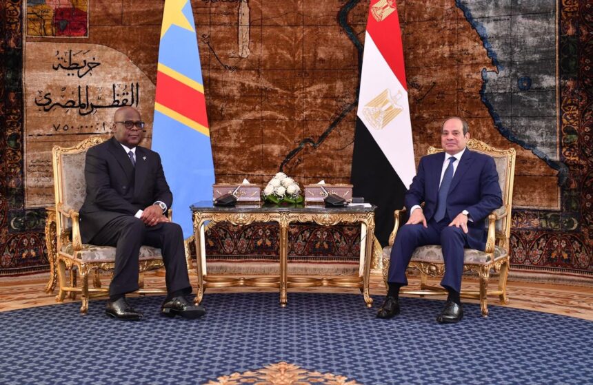 Al-Sisi, Tshisekedi discuss water cooperation, Nile Basin coordination and eastern DRC crisis