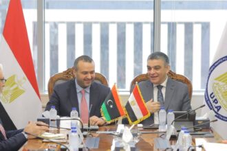 Egypt, Libya explore expanded healthcare cooperation, medical industry localisation