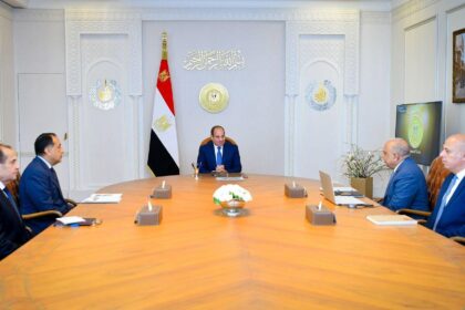 Al-Sisi reviews 105 power grid projects, renewable energy expansion plans