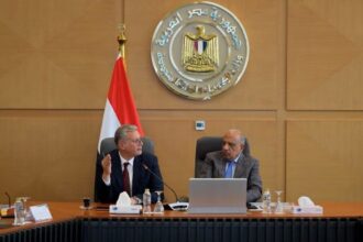 Electricity, petroleum ministers review plans to meet peak summer power demand
