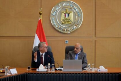 Electricity, petroleum ministers review plans to meet peak summer power demand
