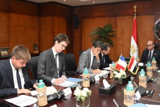 Egypt discusses deepening investment, trade cooperation with France